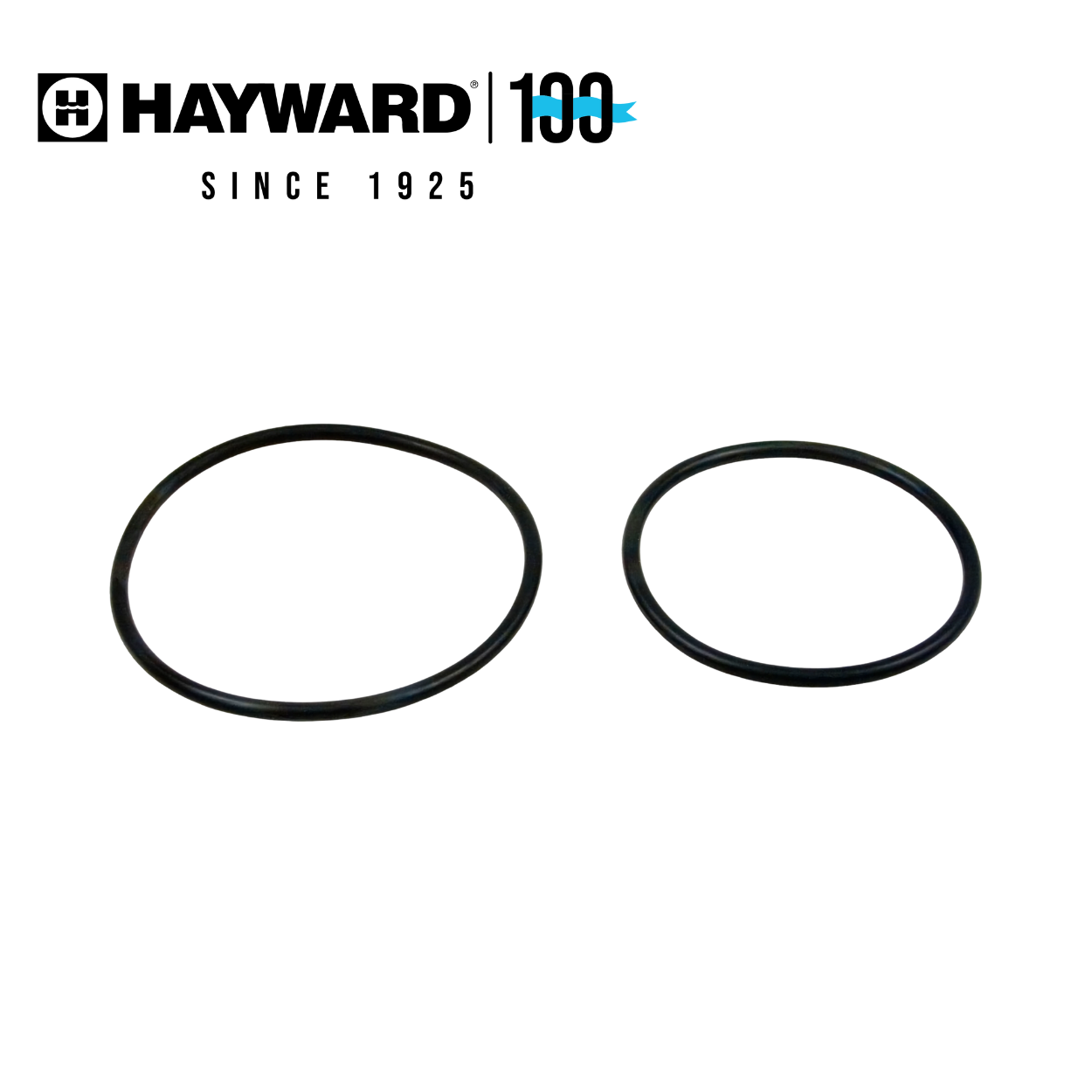 Hayward DEX2420Z8A O-Ring Kit (Set of 2)