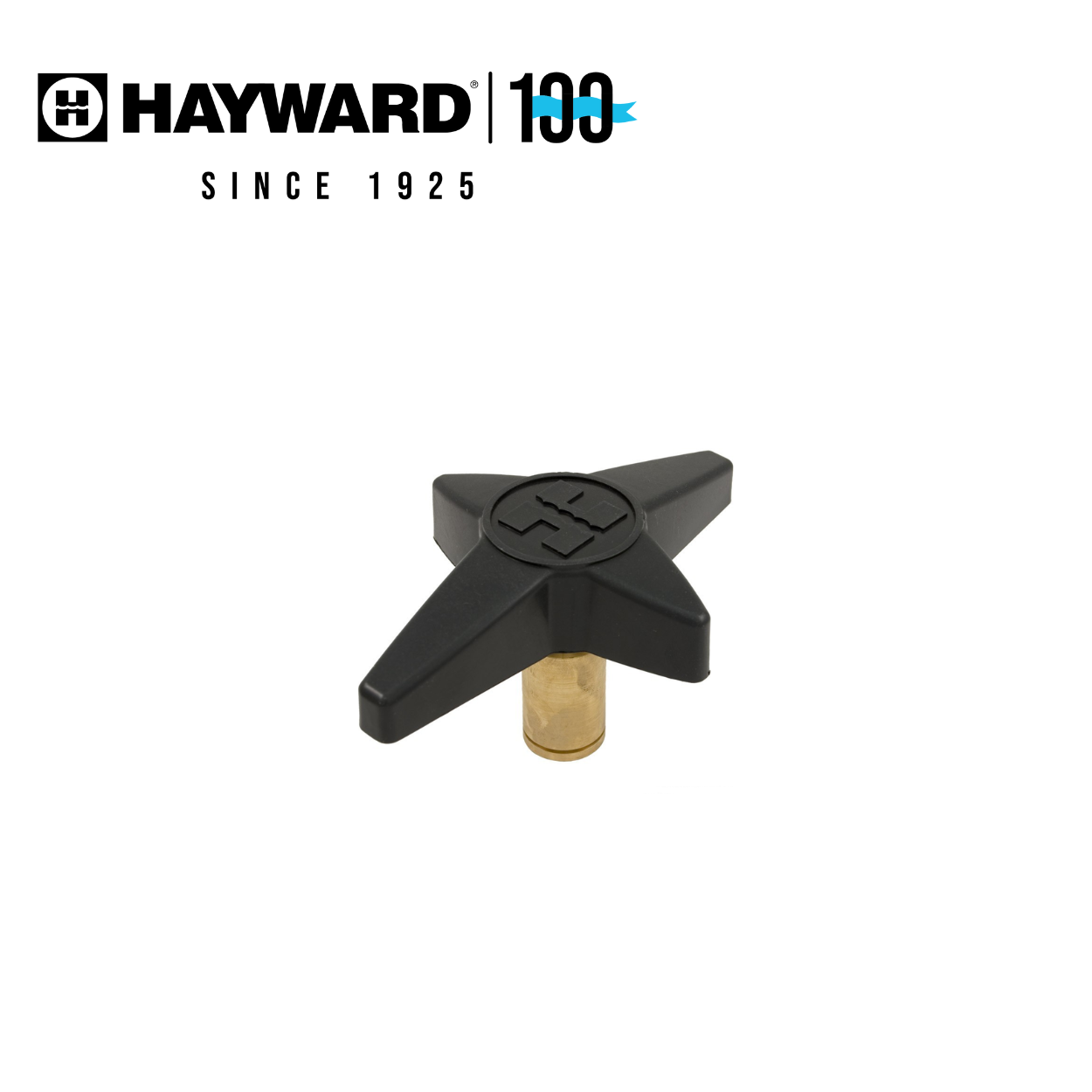 Hayward CX1750G StarClear Plus Filter Lock Knob