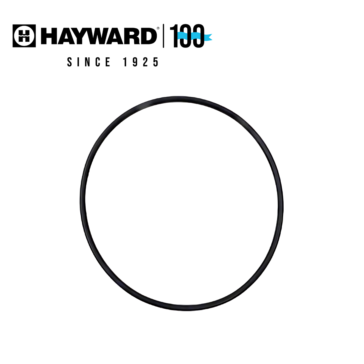 Hayward GMX600F O-Ring – Fits GM152 and GM225 Valves