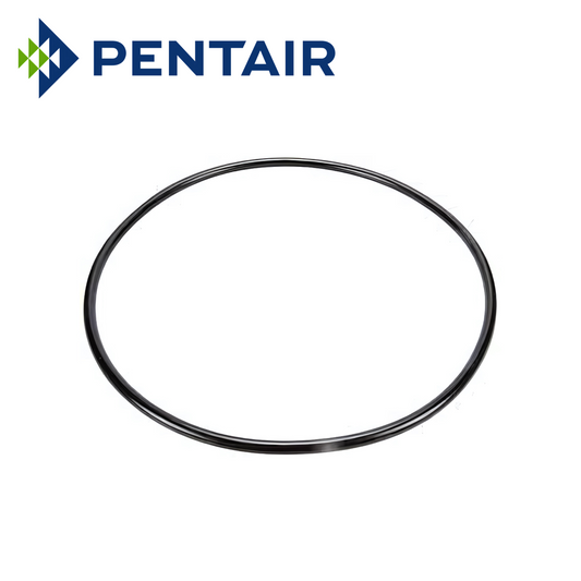 Pentair Replacement O-Ring