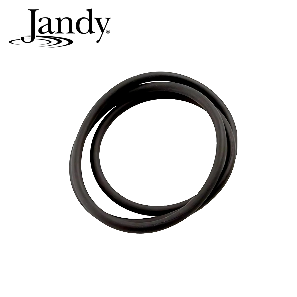 Zodiac R0462700 Tank Top O-Ring for CS Series Filters – Genuine Replacement Part