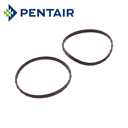 Pentair Union Diamond Seal Kit (2.403″) (178746Z)